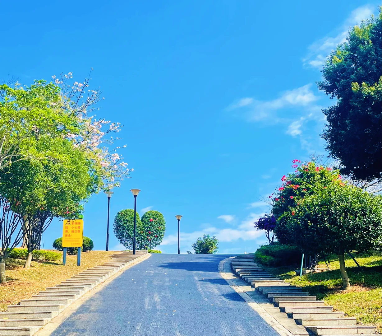 东莞植物园