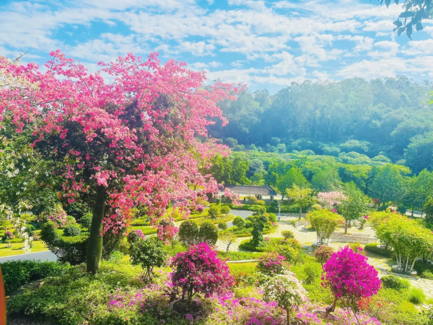 东莞植物园