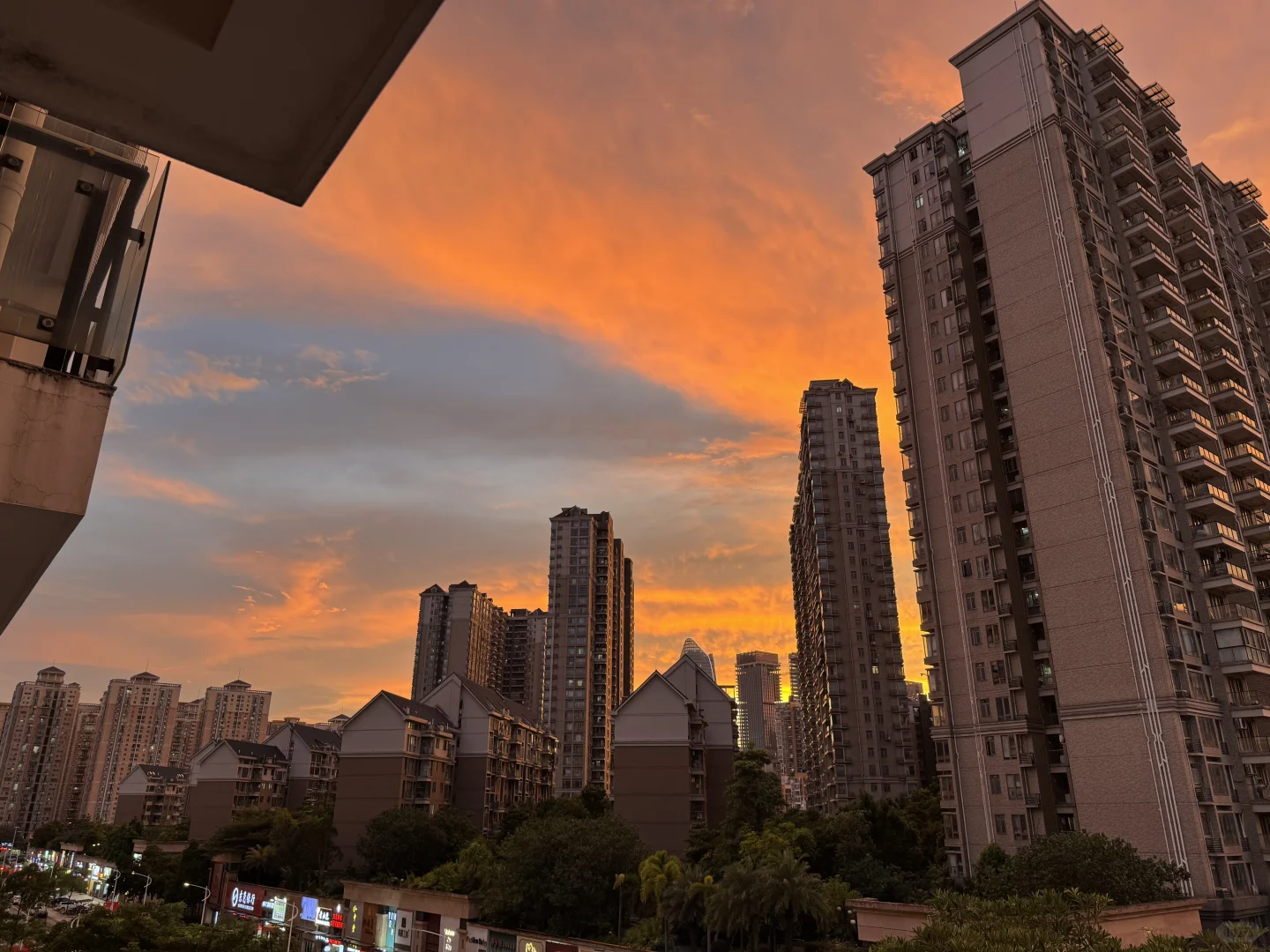 走过很多地方，东莞真的很宜居
