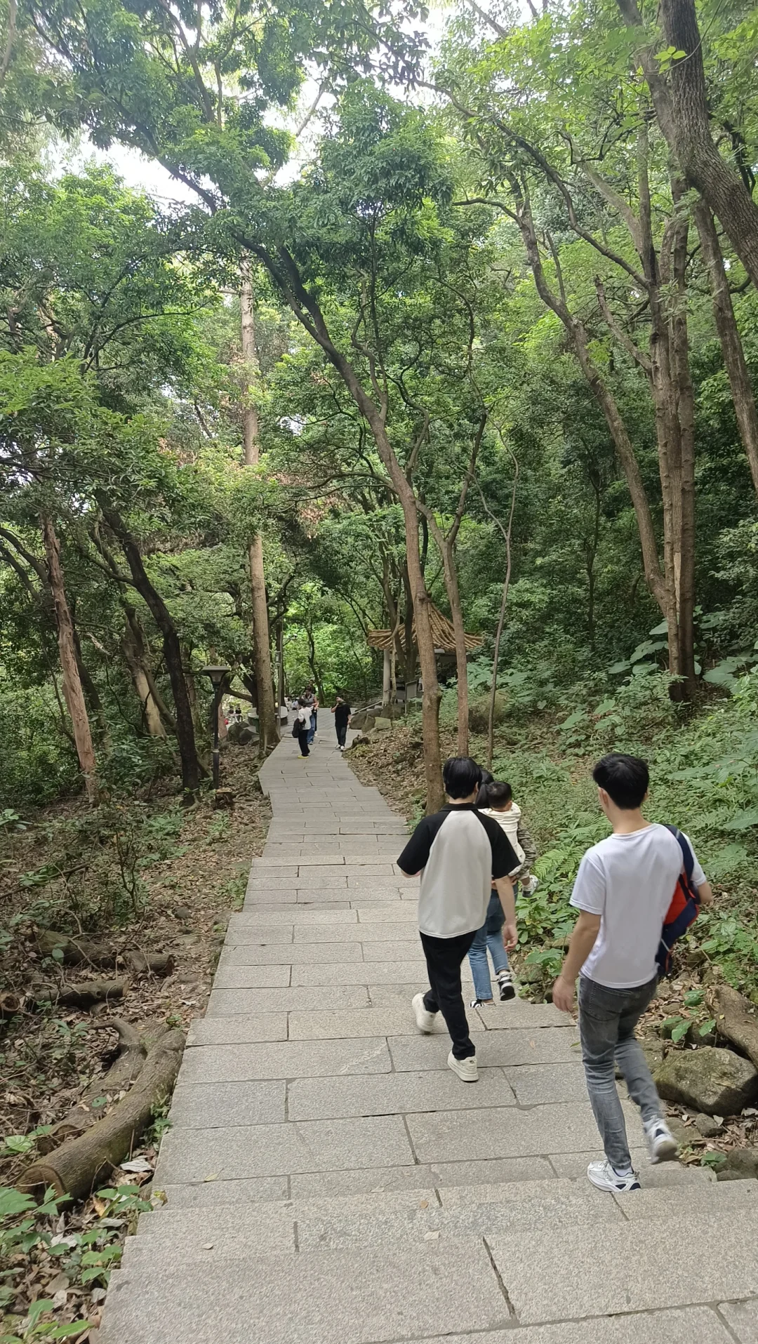 深圳凤凰山.缘