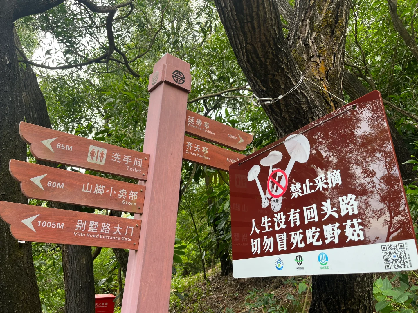 深圳｜大南山