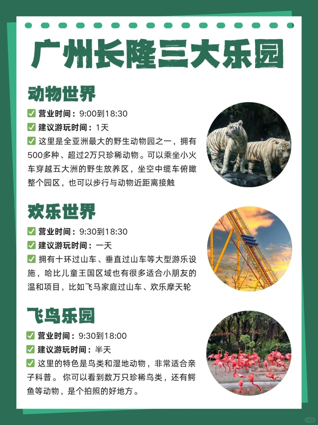 第一次去广州长隆必看！三大乐园怎么玩🦒
