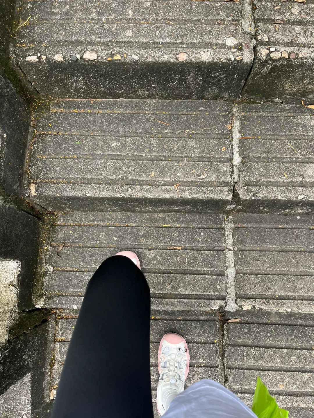 深圳｜大南山