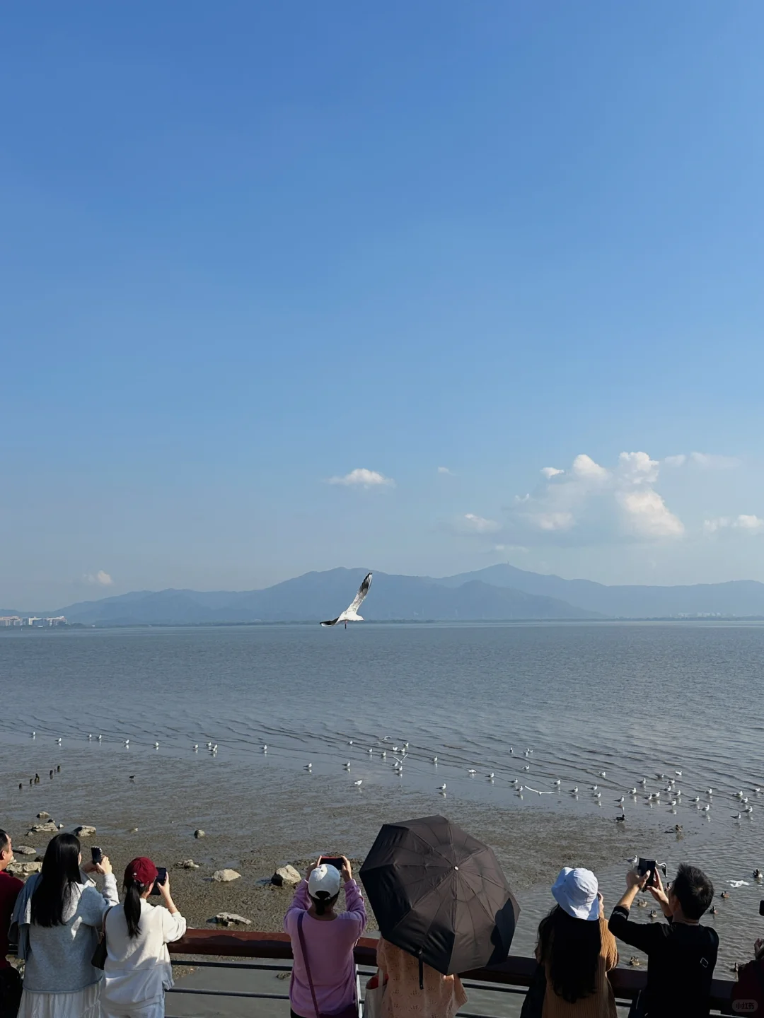 📍深圳☀️