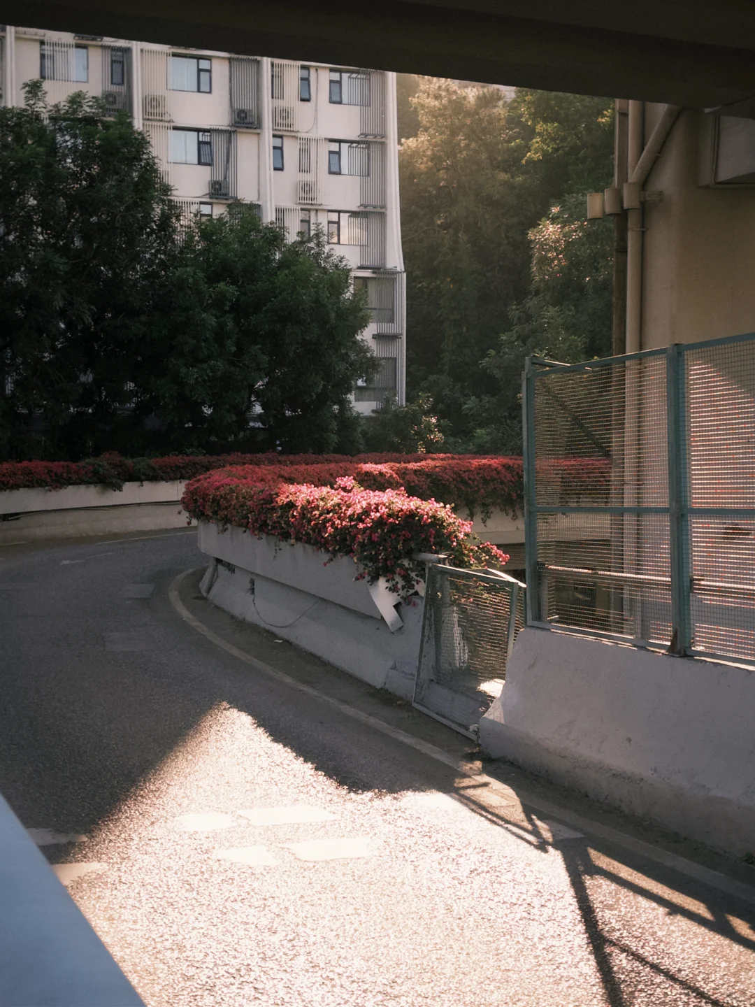广州云道🌿