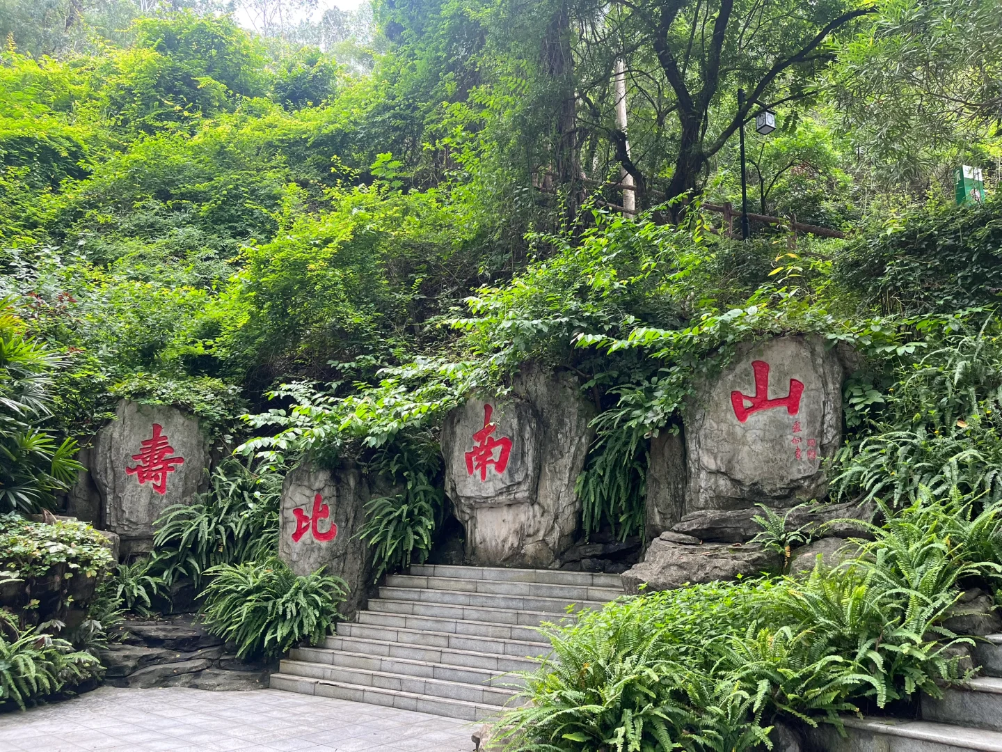 深圳｜大南山