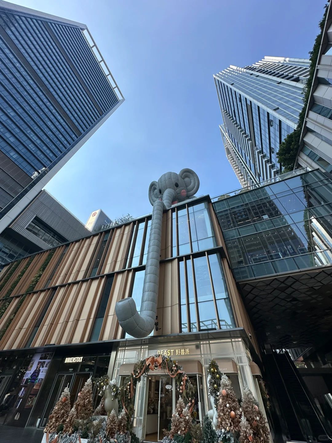 📍深圳☀️