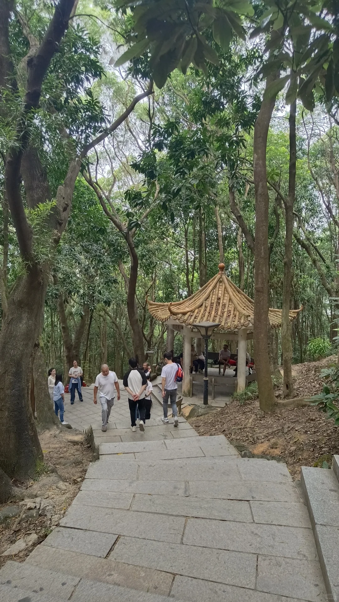 深圳凤凰山.缘