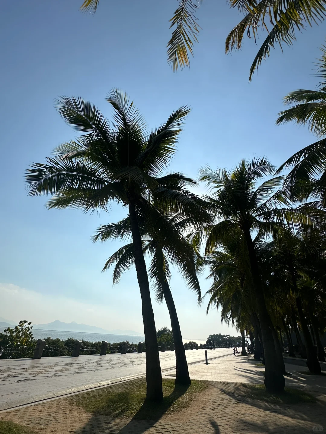 📍深圳☀️