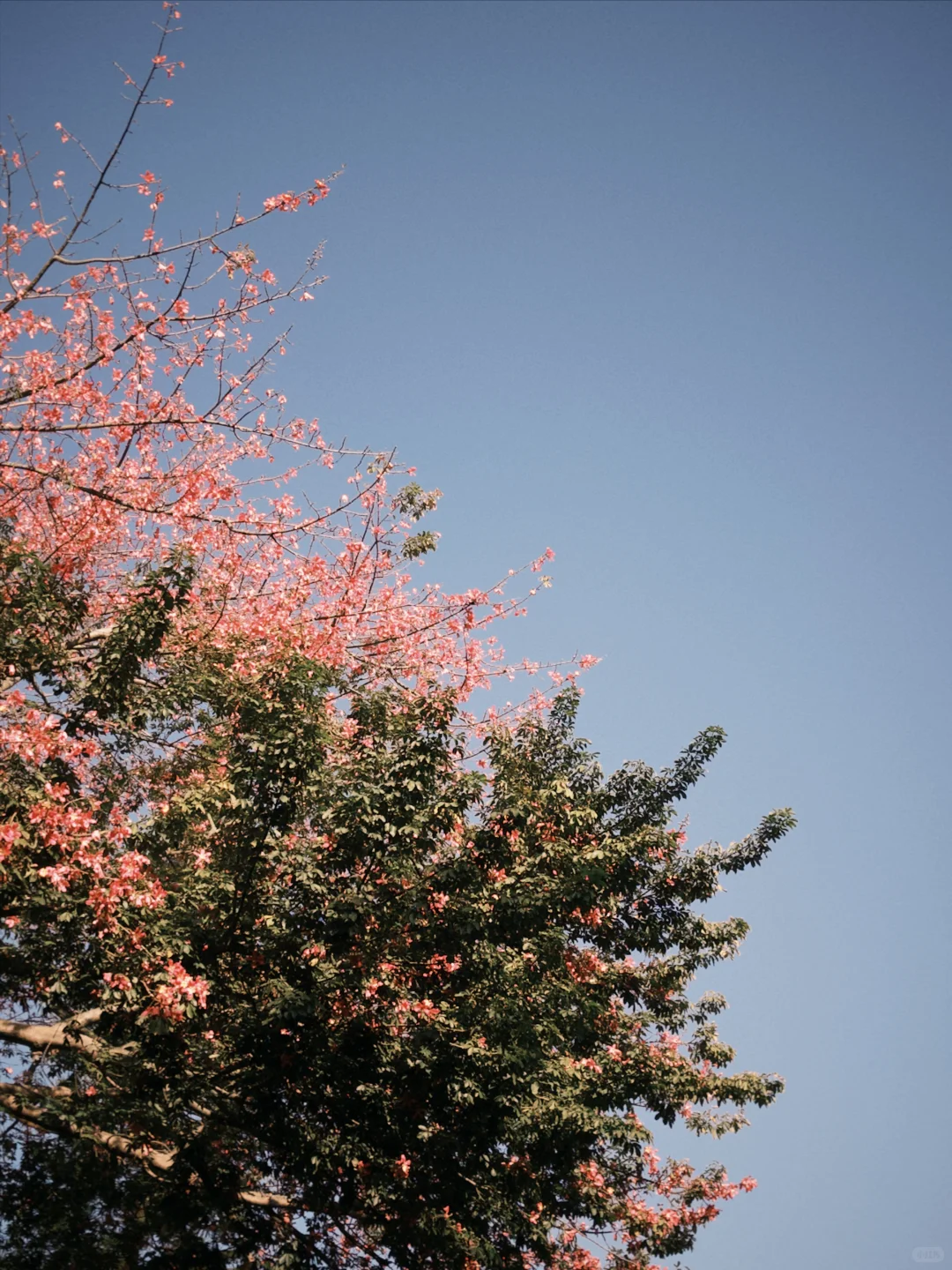 广州云道🌿