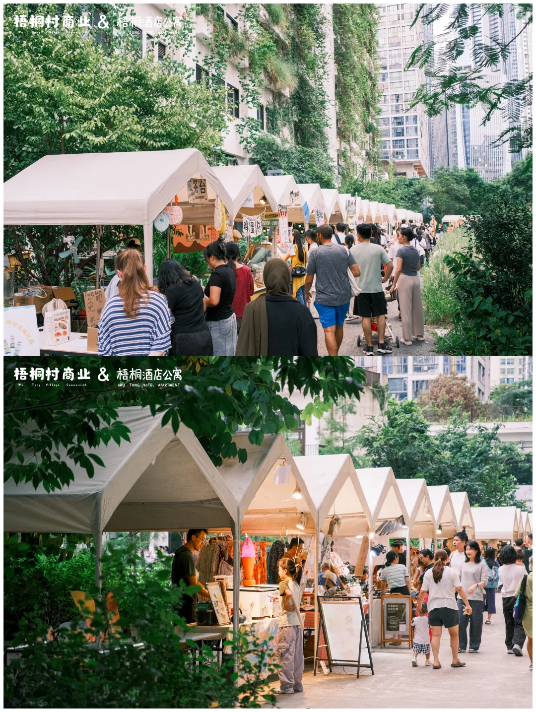 本周游牧计划⛺️深圳泰华梧桐村好市暖冬集