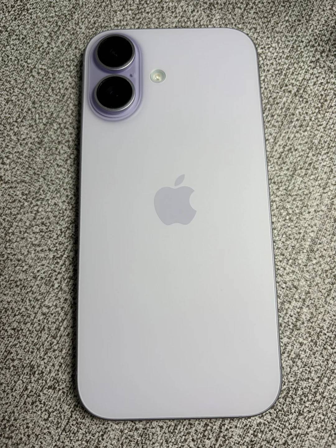17.深圳