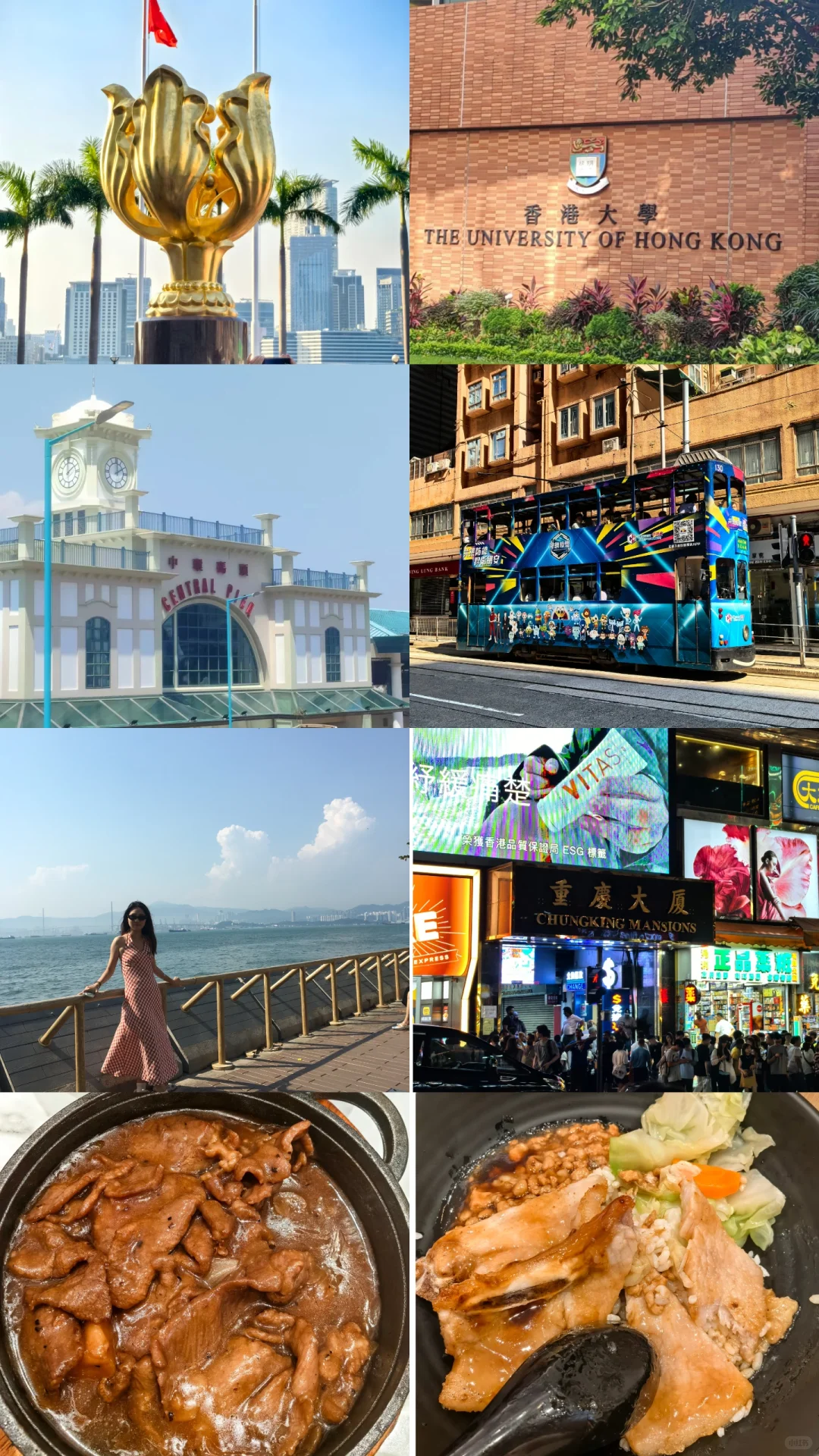 深圳➕港珠澳特种兵5日游攻略纯分享