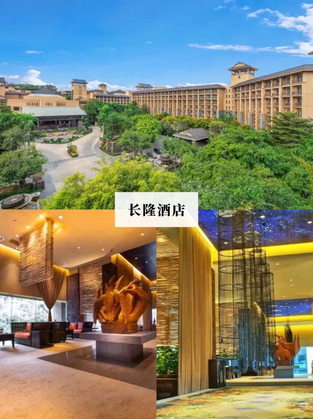 双人广州长隆3天2晚，这样玩不留遗憾‼️