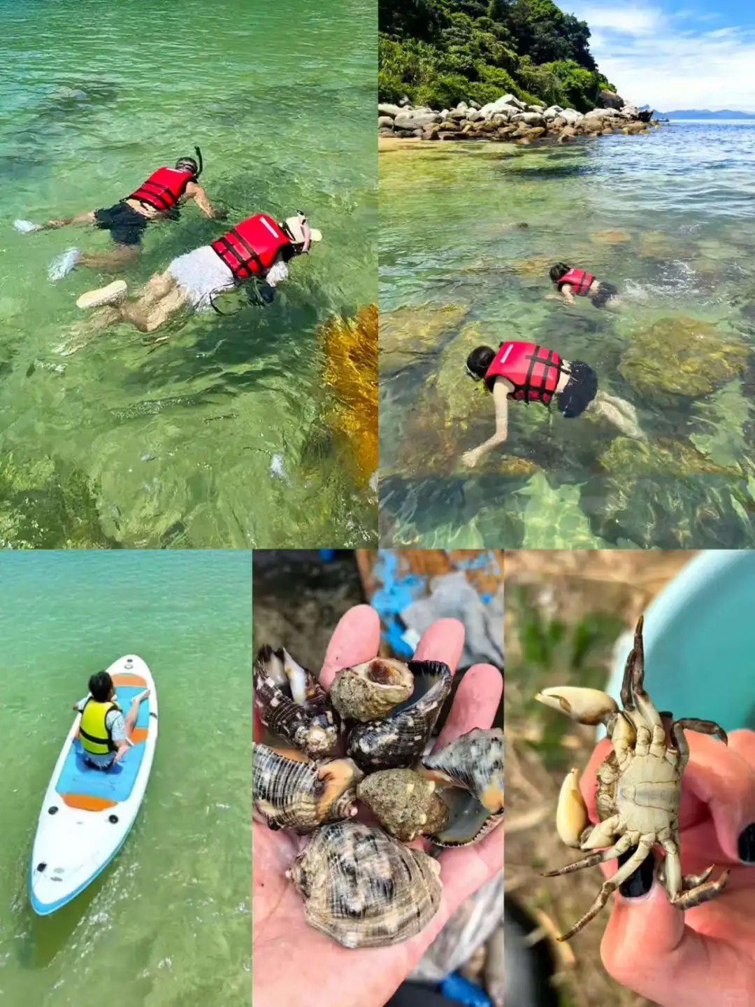 98/人‼️深圳玻璃海浮潜赶海玩个够‼️
