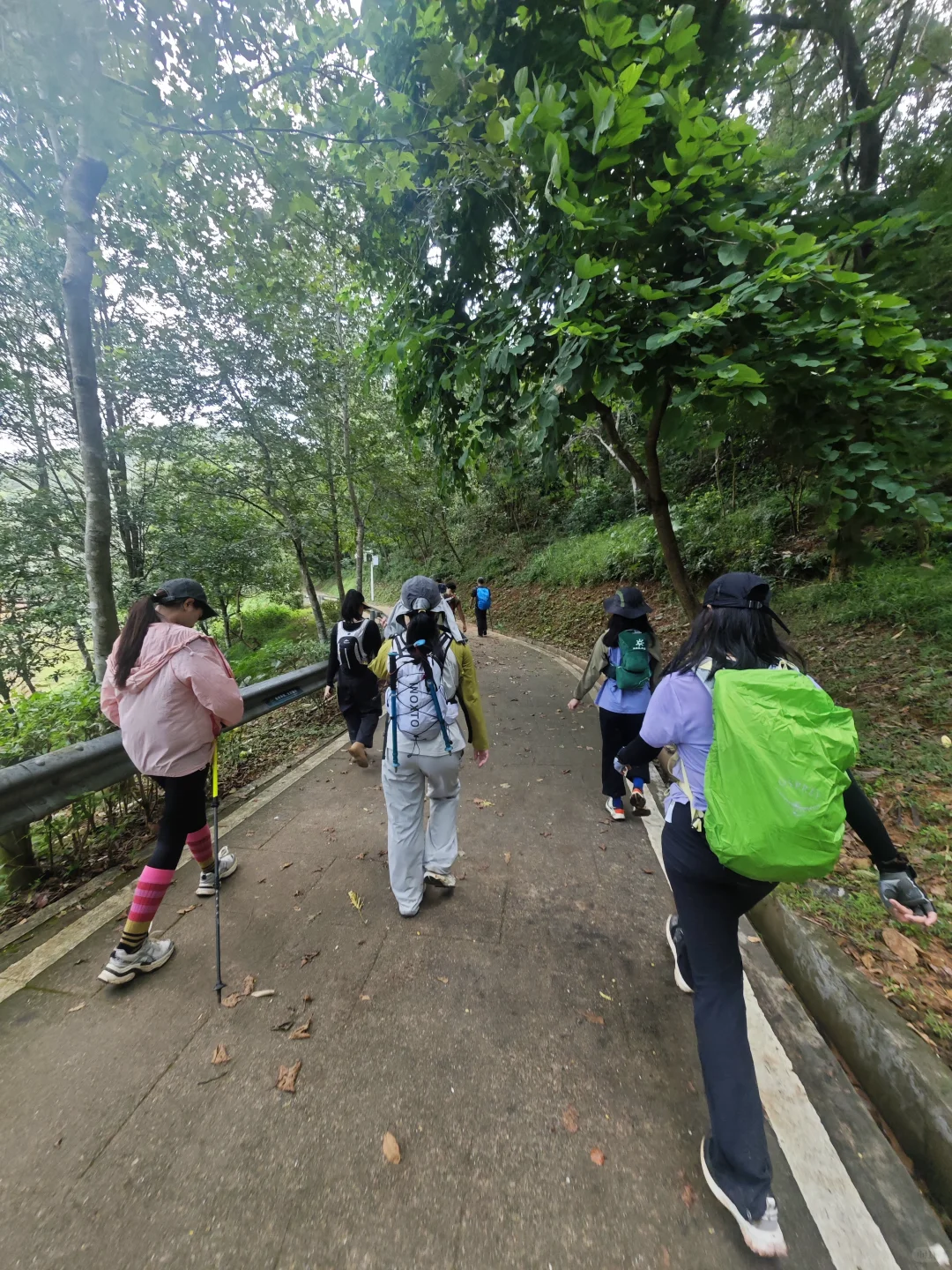 东莞爱心线