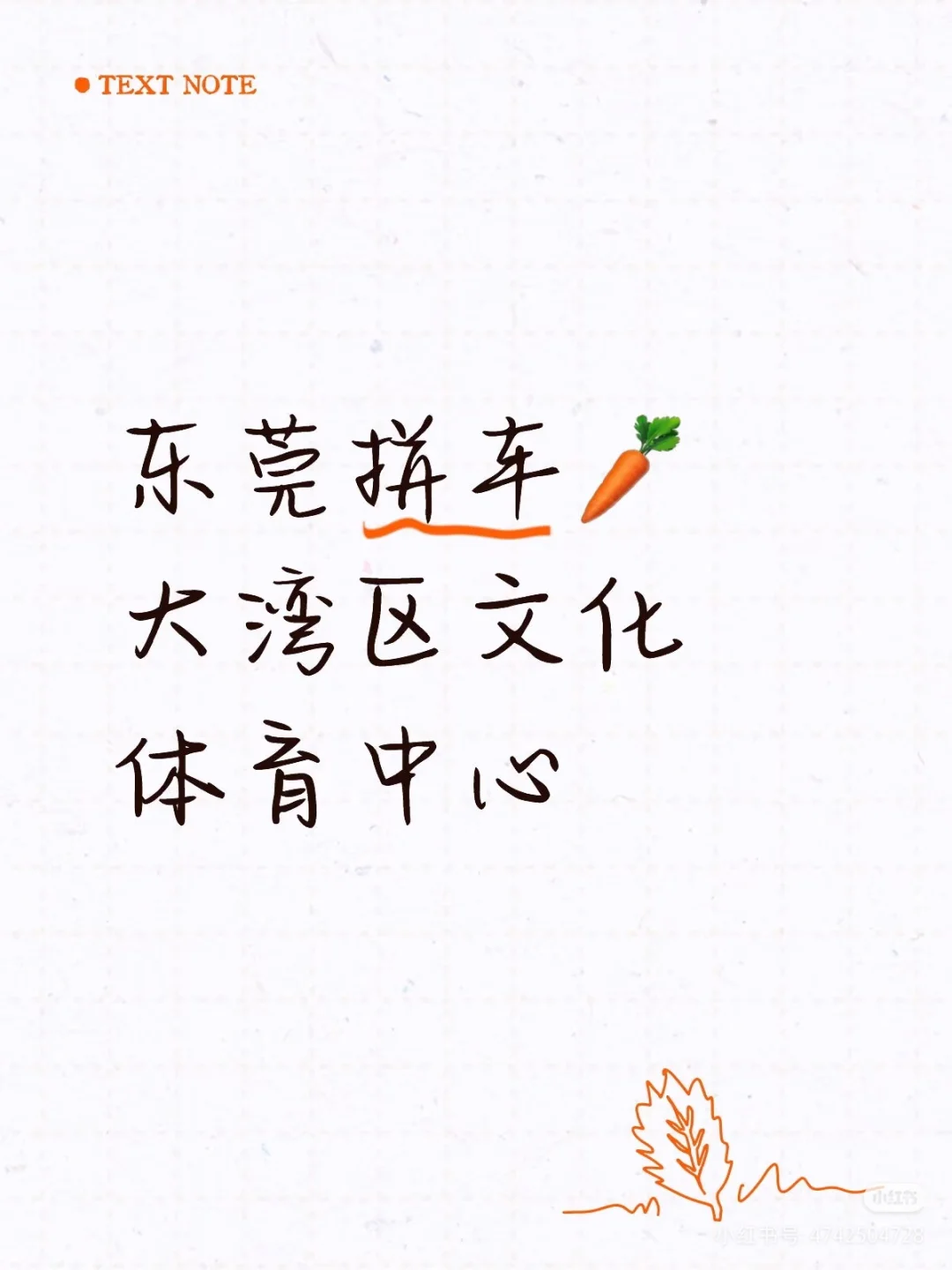 五月天15号东莞