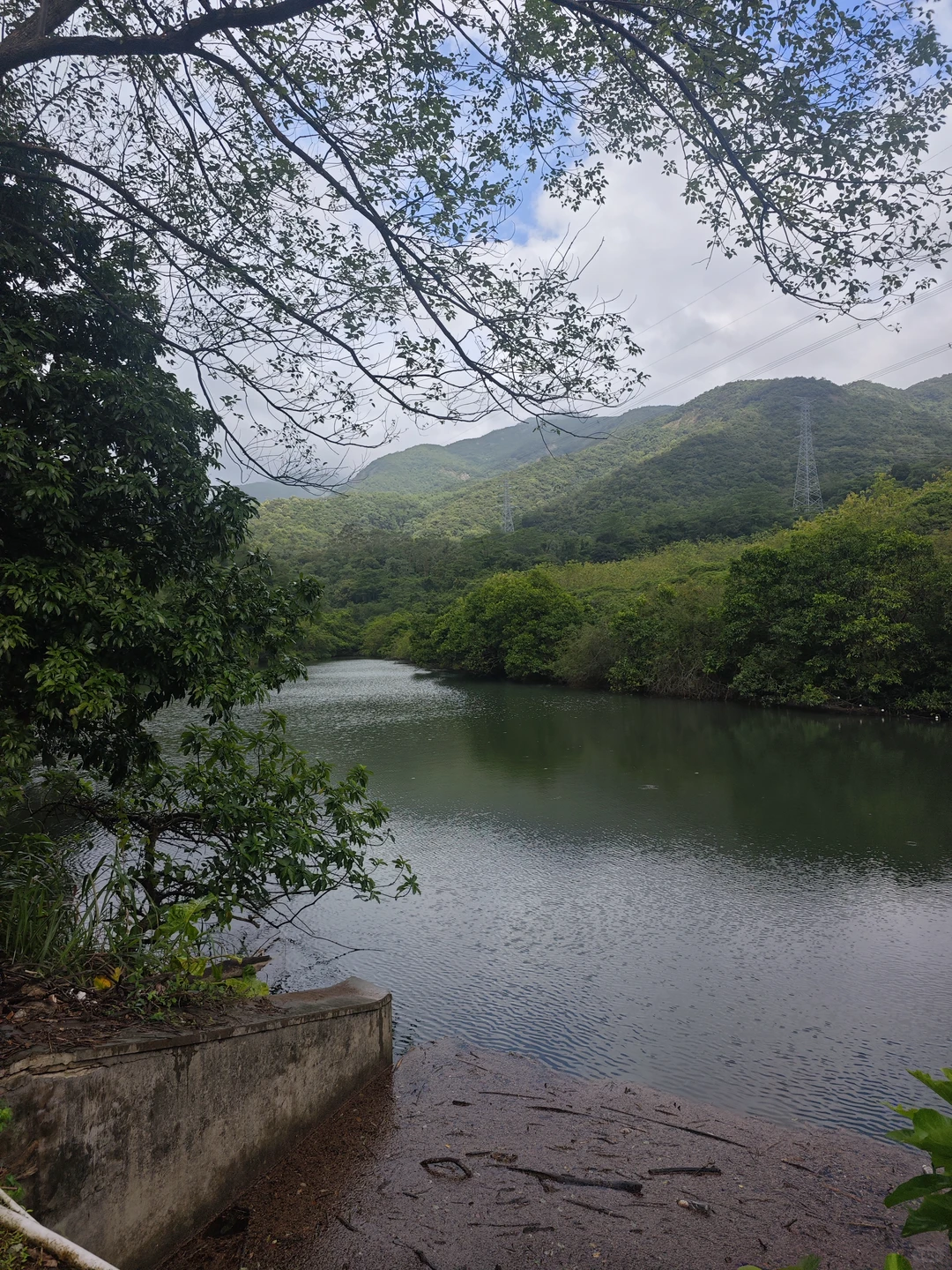 东莞爱心线