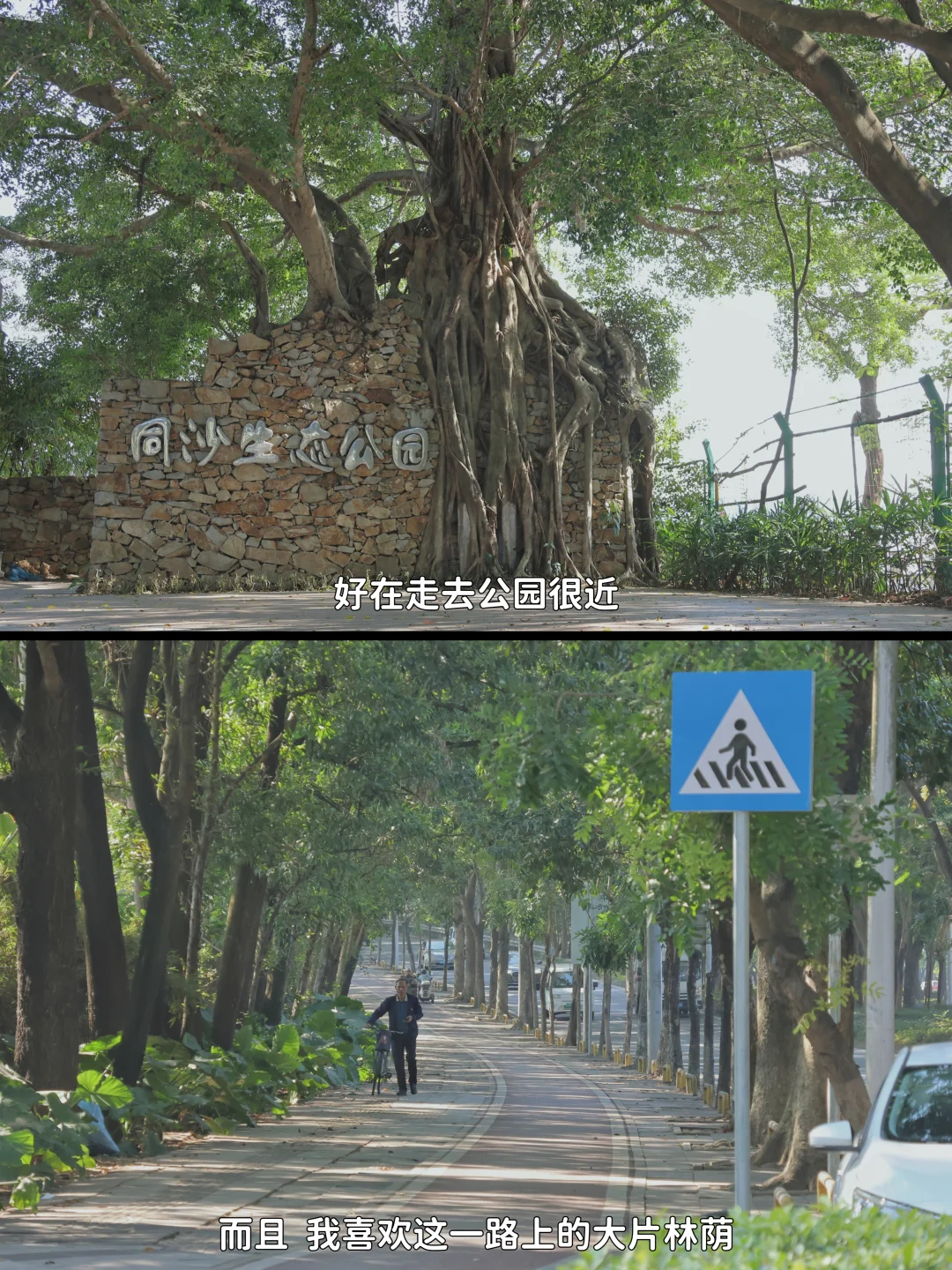 从深圳 坐地铁去东莞逛吃的一天
