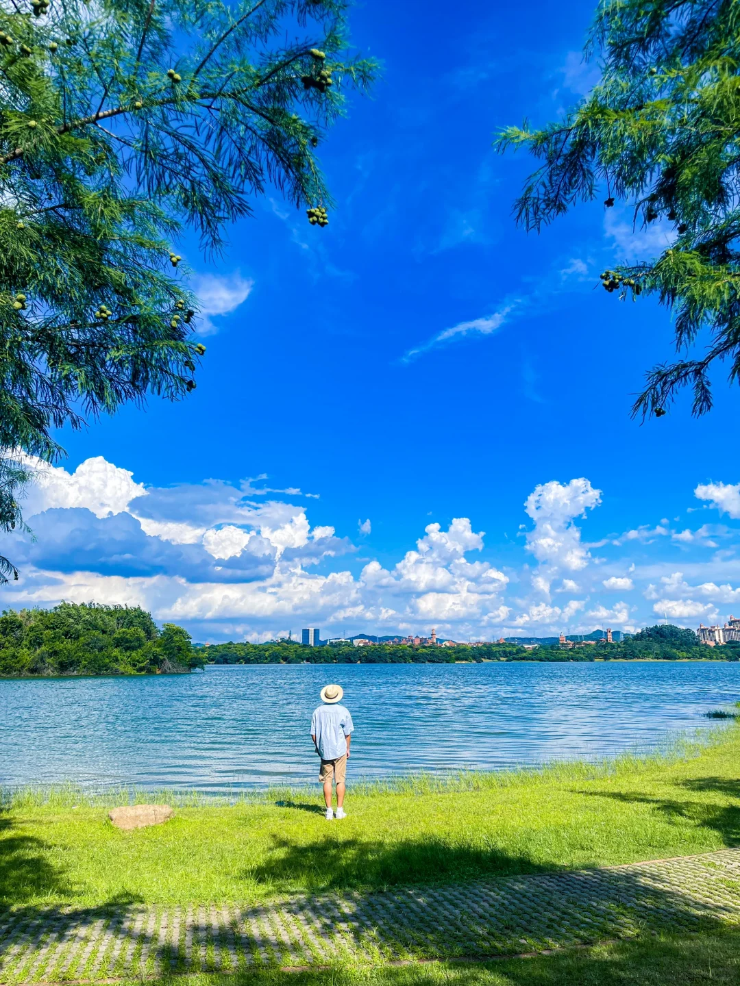 夏天的松山湖，即将成为东莞公园顶流！
