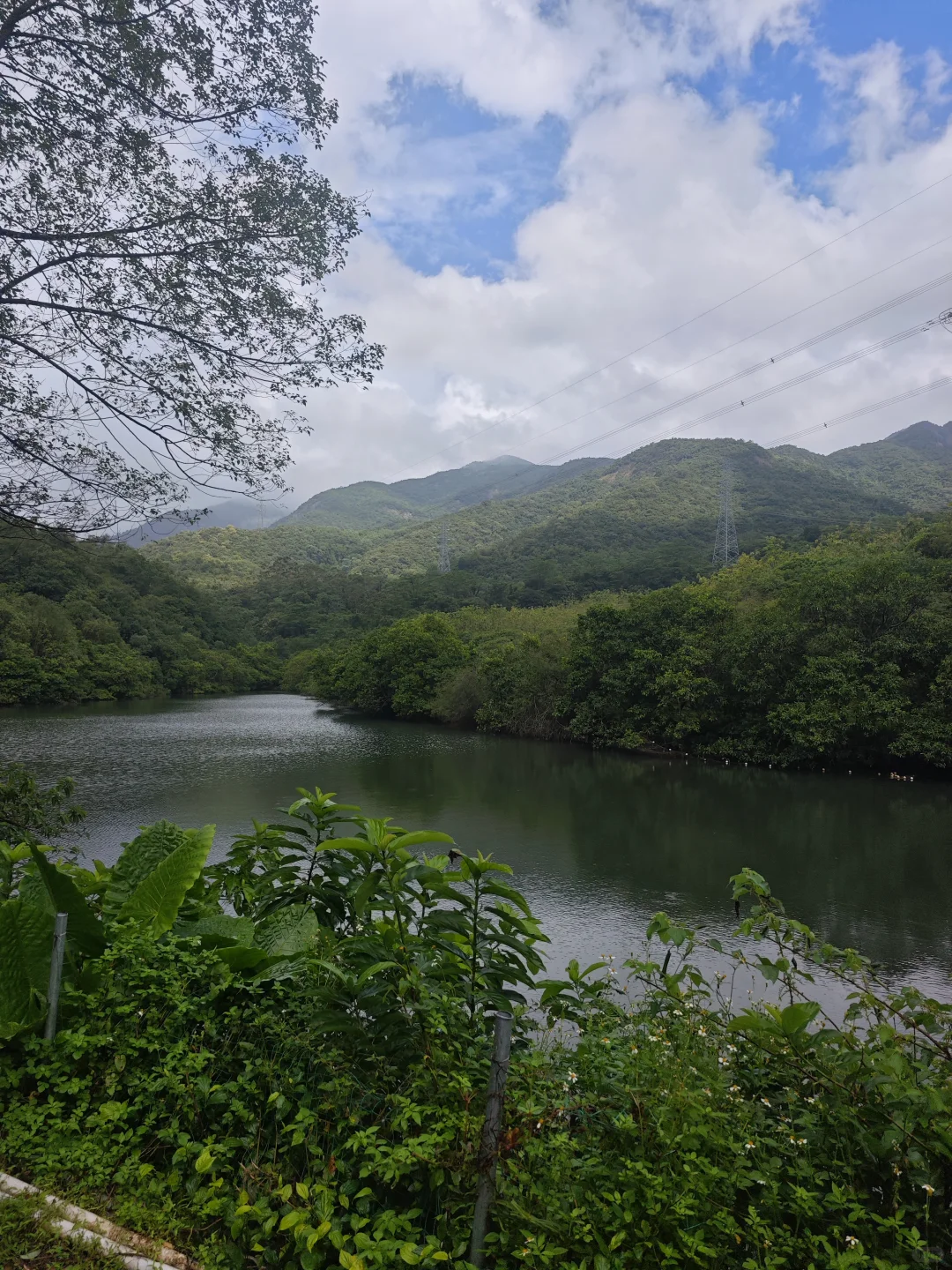 东莞爱心线