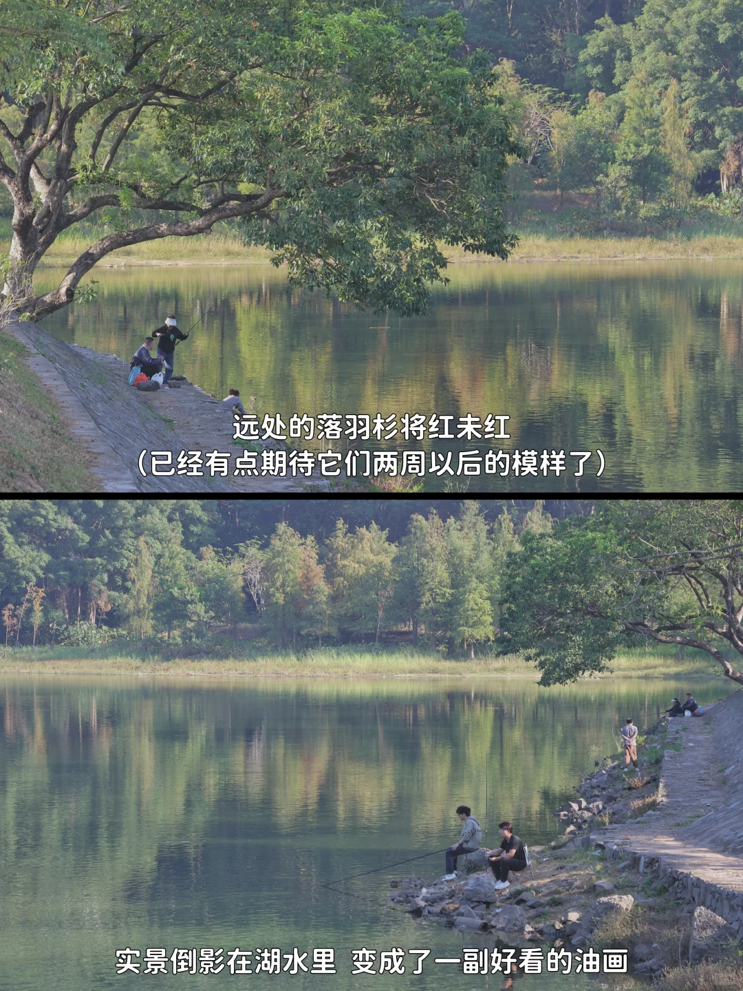 从深圳 坐地铁去东莞逛吃的一天