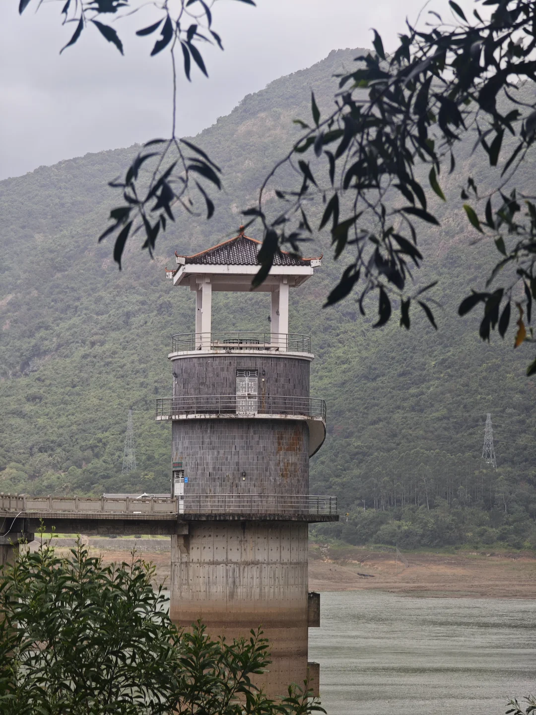 东莞爱心线