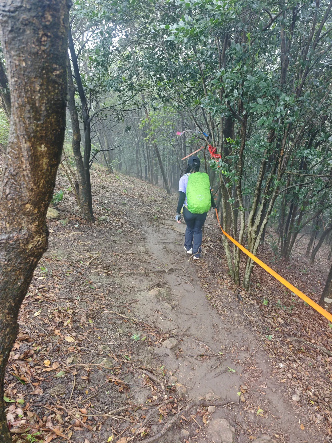 东莞爱心线