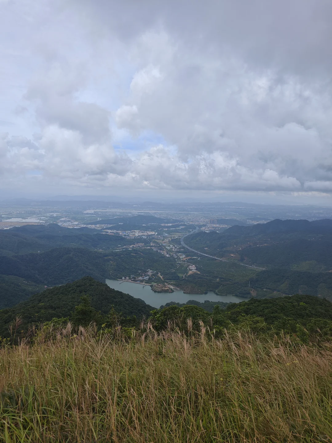 东莞爱心线