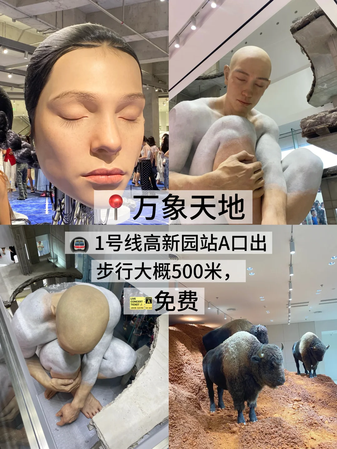 05女大/📍深圳 两天一夜旅游攻略❗️