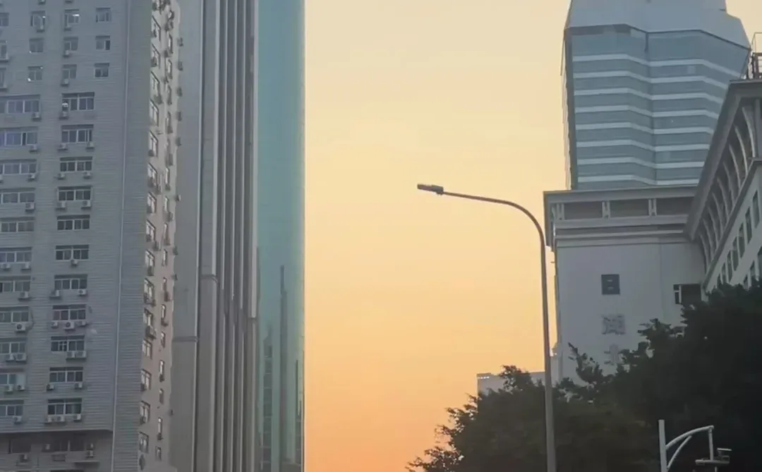 深圳急须2000