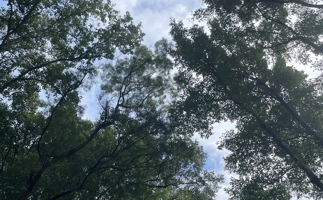 现在深圳确实比北京好……
