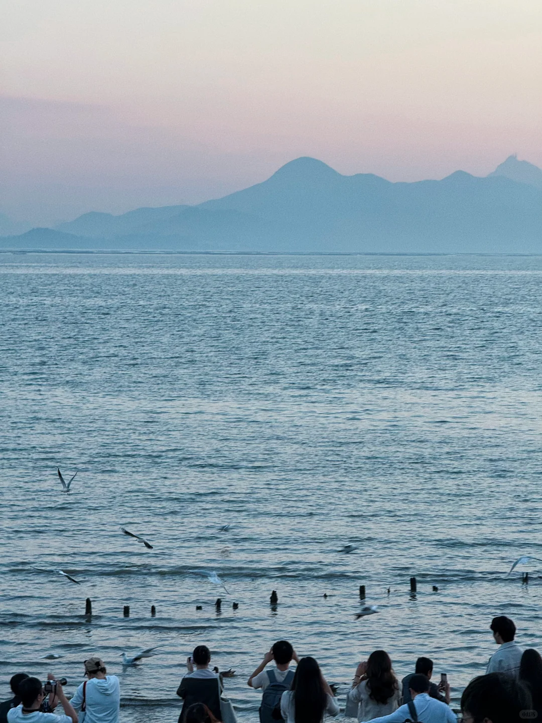 山海连城深圳湾
