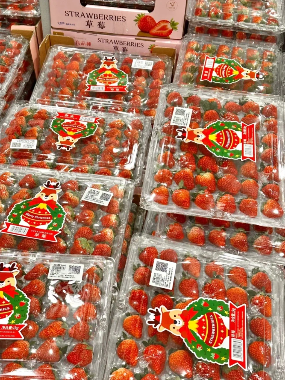 草莓季来啦🍓