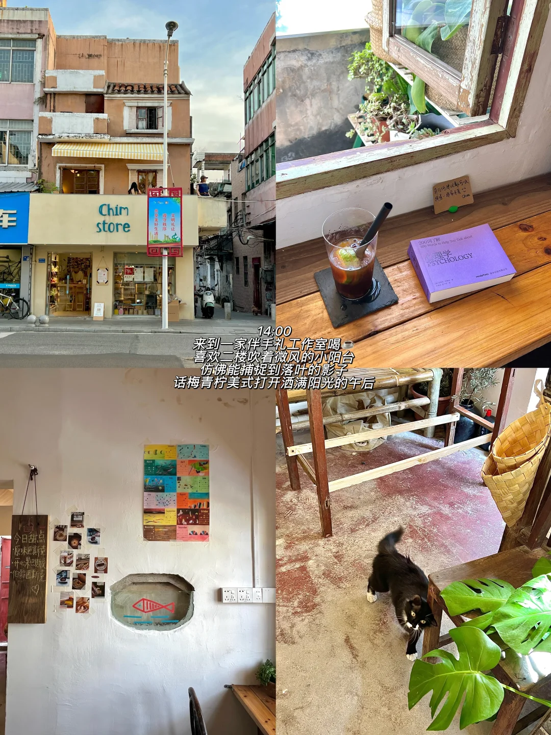 东莞🌳🐈📔一个人莞城citywalk恢复能量
