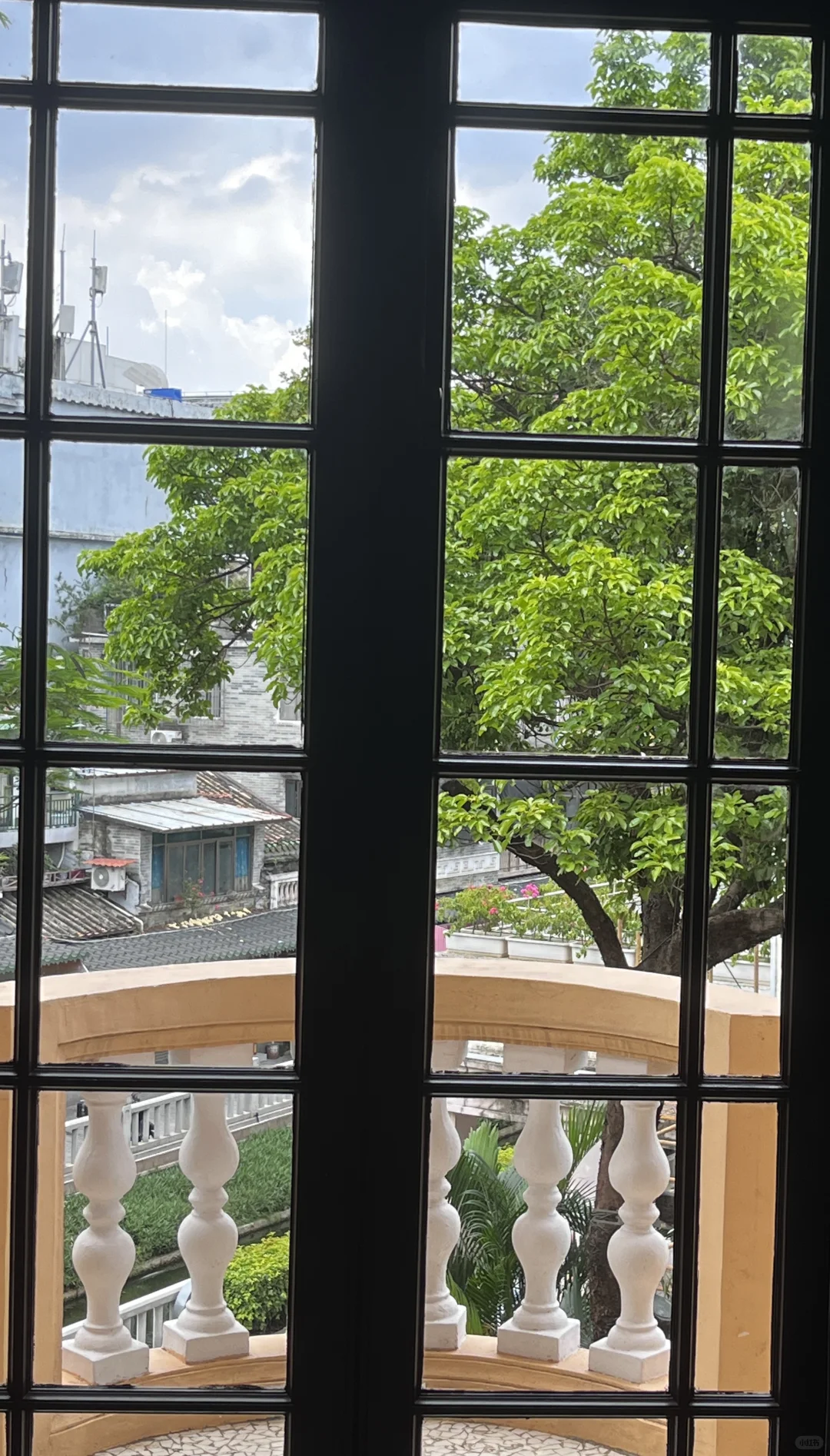 我在广州没空想你