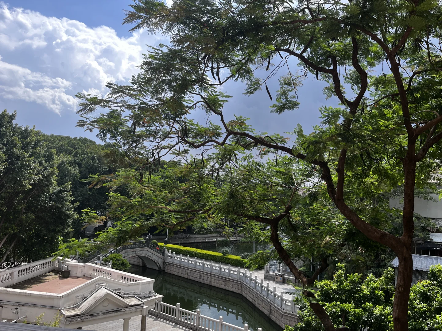 我在广州没空想你