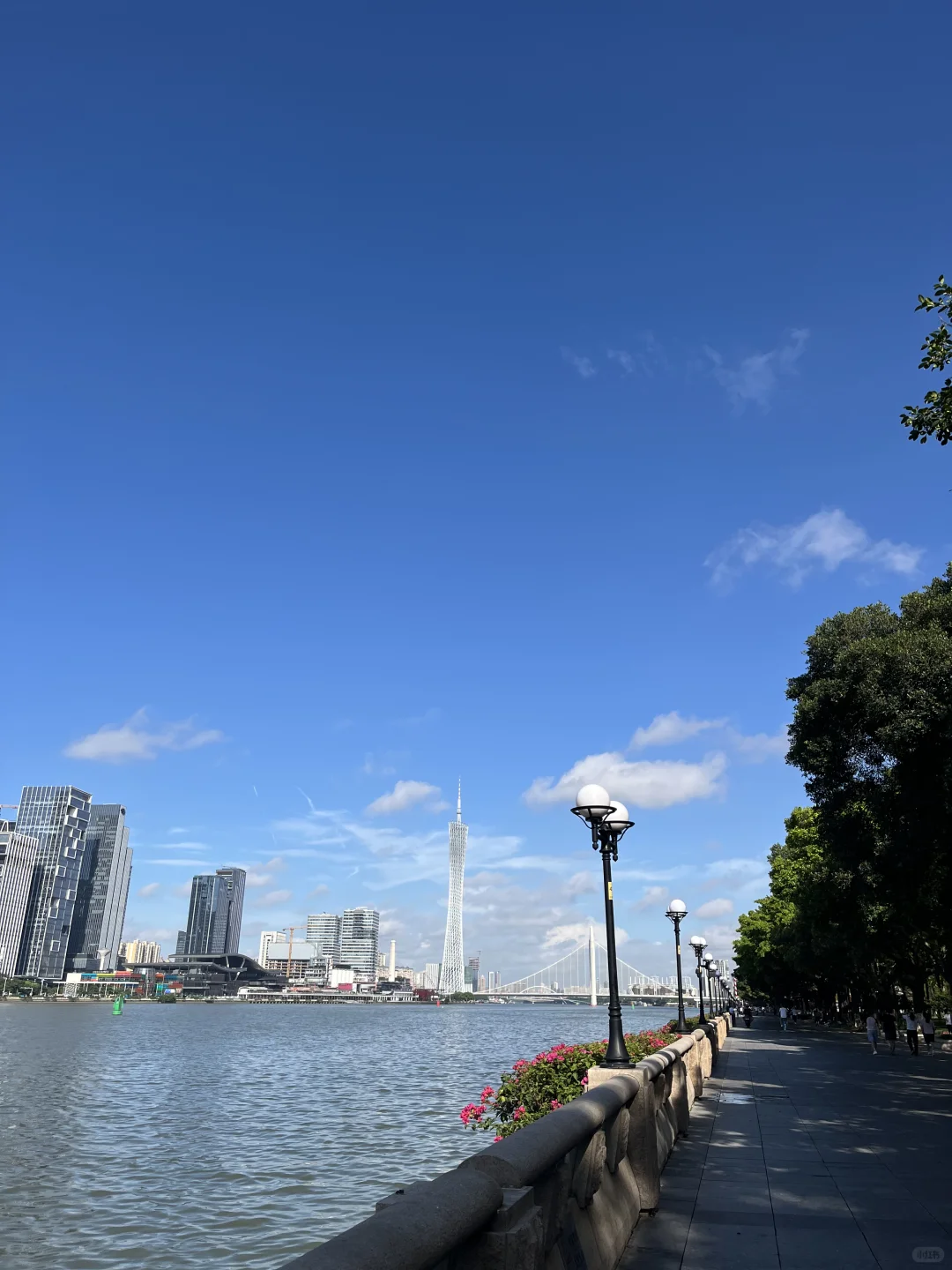 晴天白云，广州，临江大道