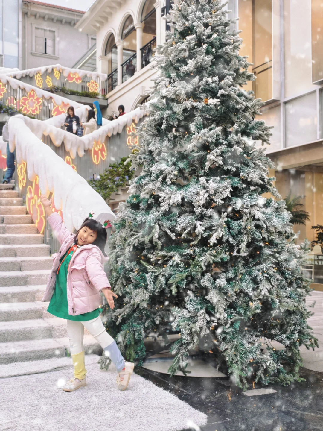 📢来啦来啦❗广州圣诞🎄免费看❄️撸宠