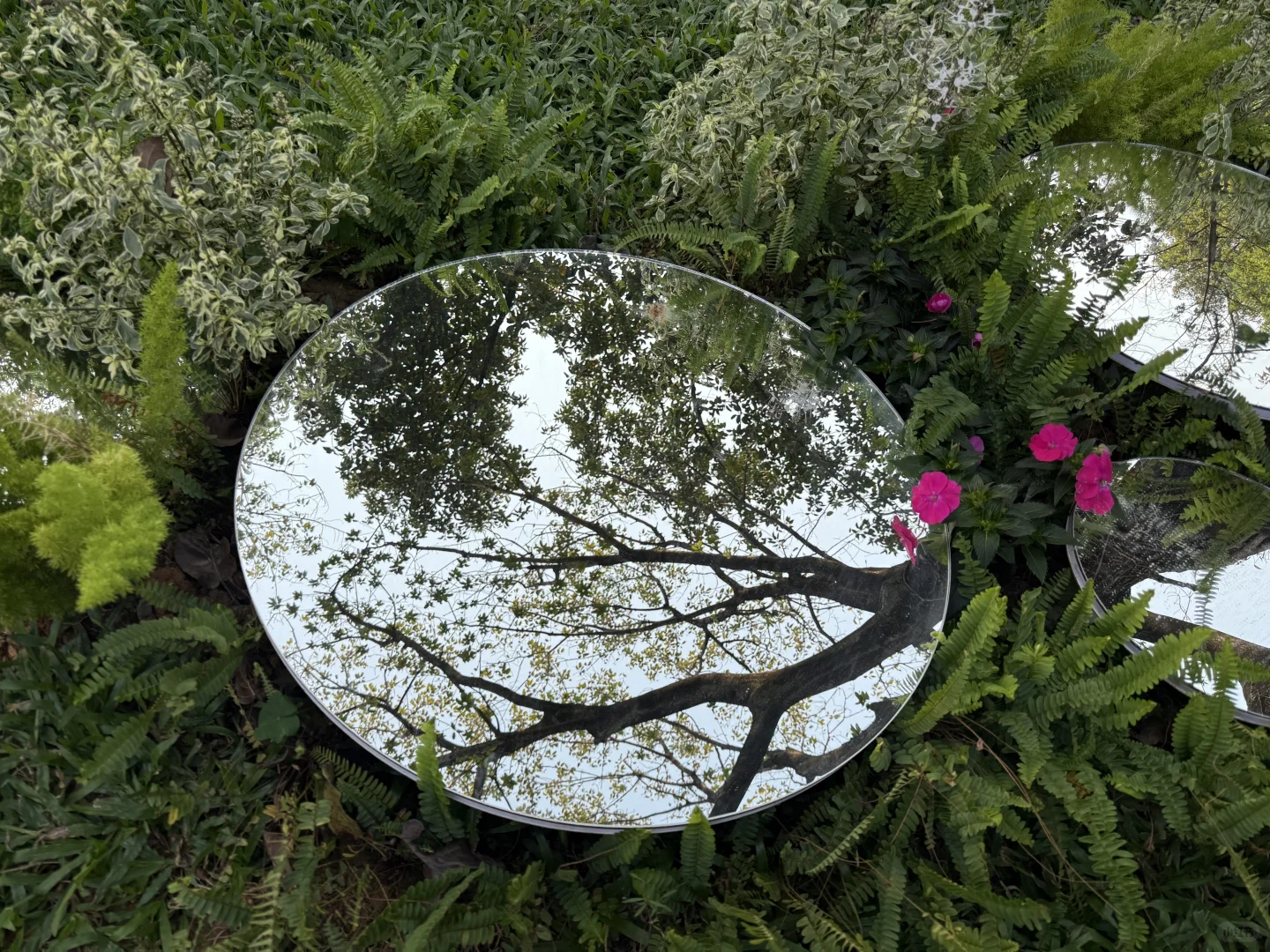 我推荐每个在广州的朋友立刻马上去