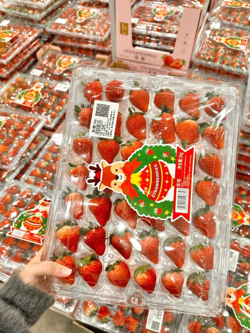 草莓季来啦🍓