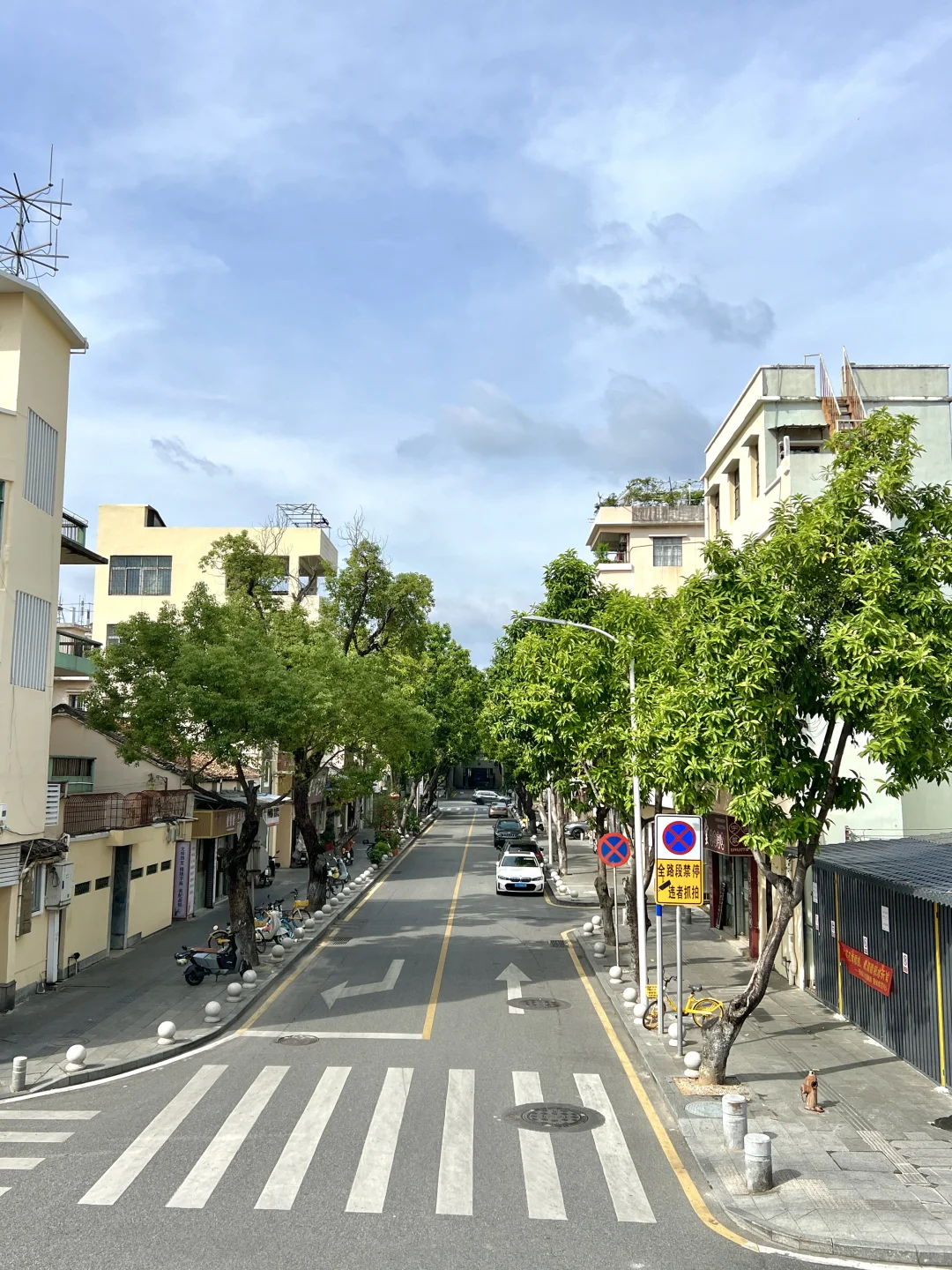 东莞🌳🐈📔一个人莞城citywalk恢复能量