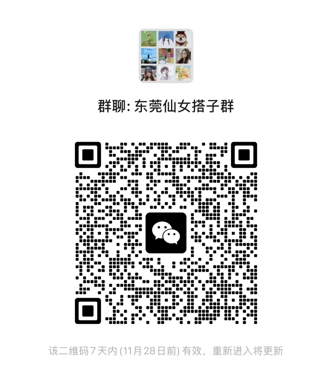 东莞搭子群《限女生》 最好90后 更新11.21