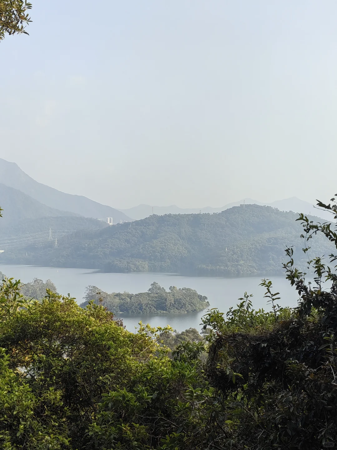 深圳活动｜12.6周六淘金山绿道徒步，已21人