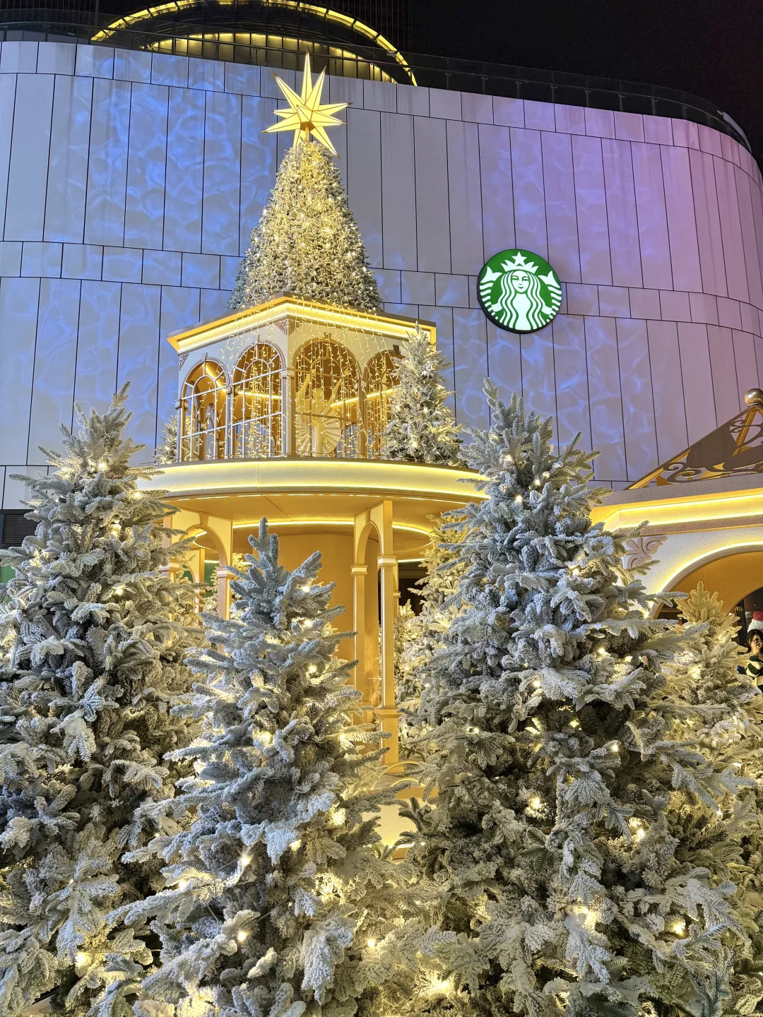 国贸圣诞树🎄