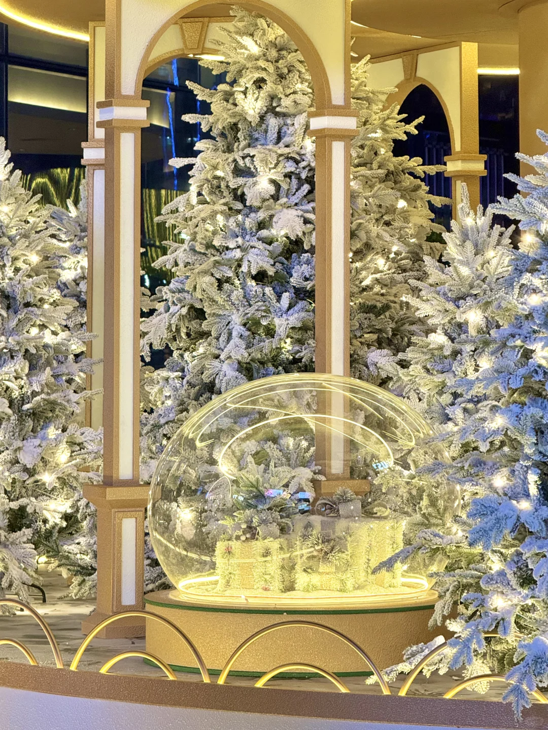 国贸圣诞树🎄