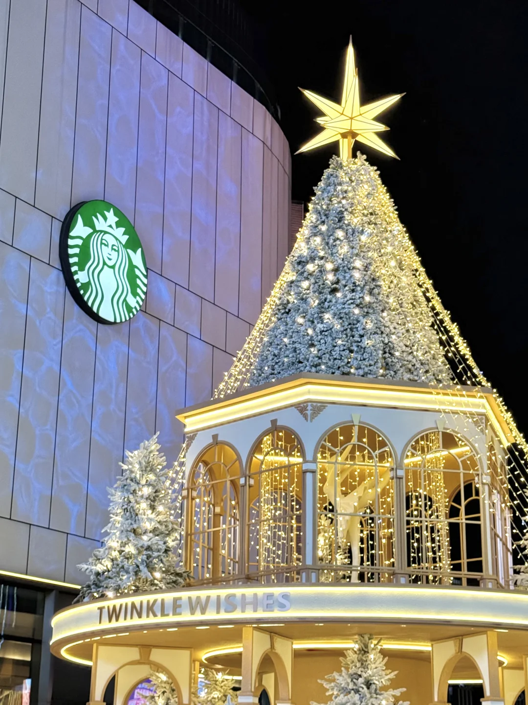 国贸圣诞树🎄