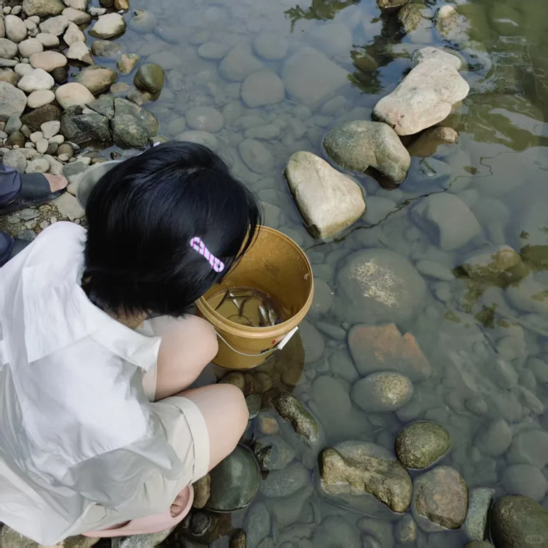 东莞附近超多鱼的山间小溪流在这