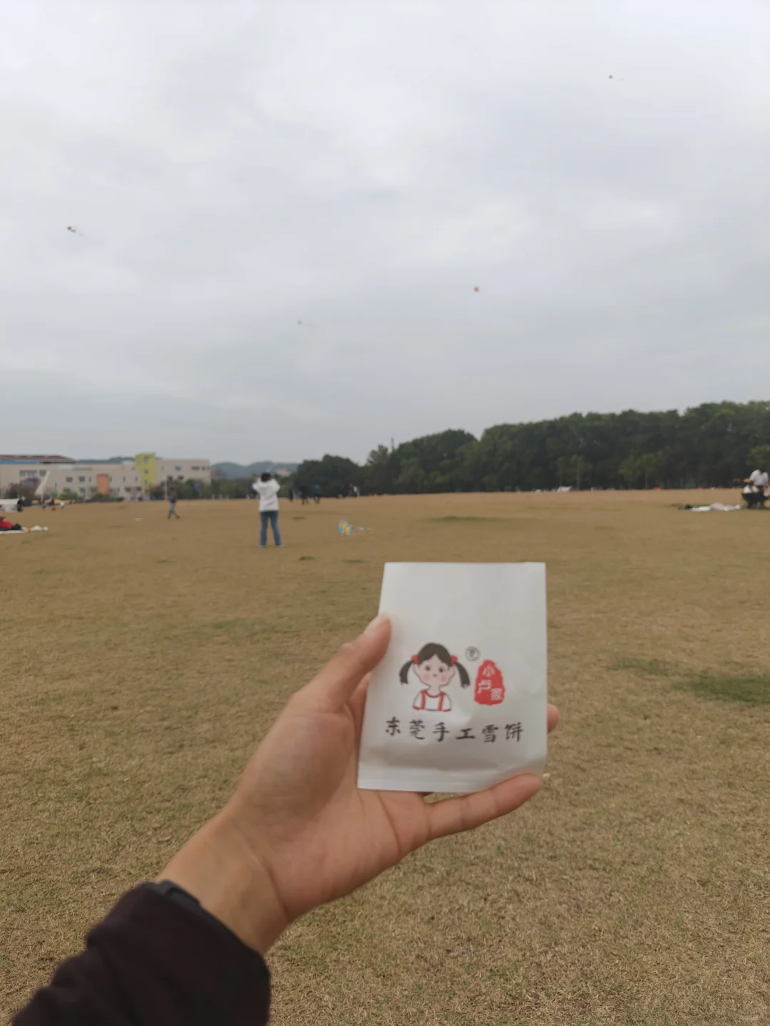东莞特产之雪饼