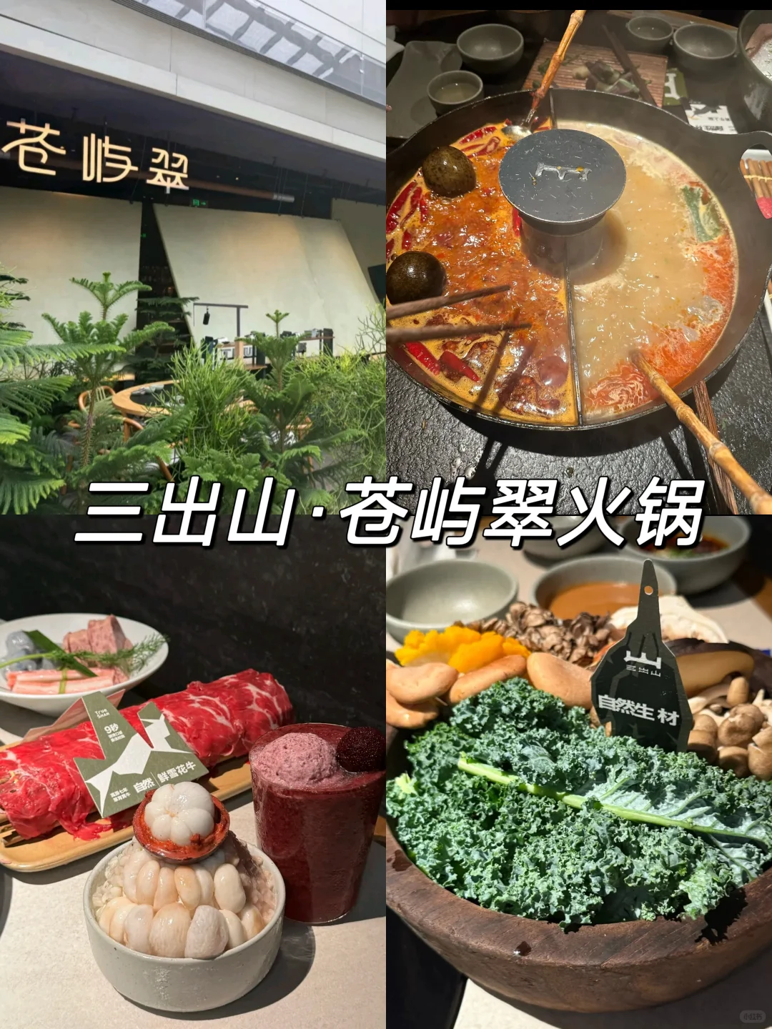 来深圳一定要吃！！！（5家🈚广）